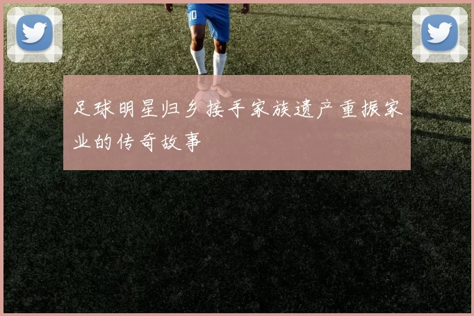 足球明星归乡接手家族遗产重振家业的传奇故事