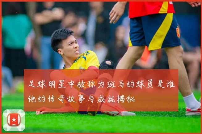 足球明星中被称为斑马的球员是谁他的传奇故事与成就揭秘