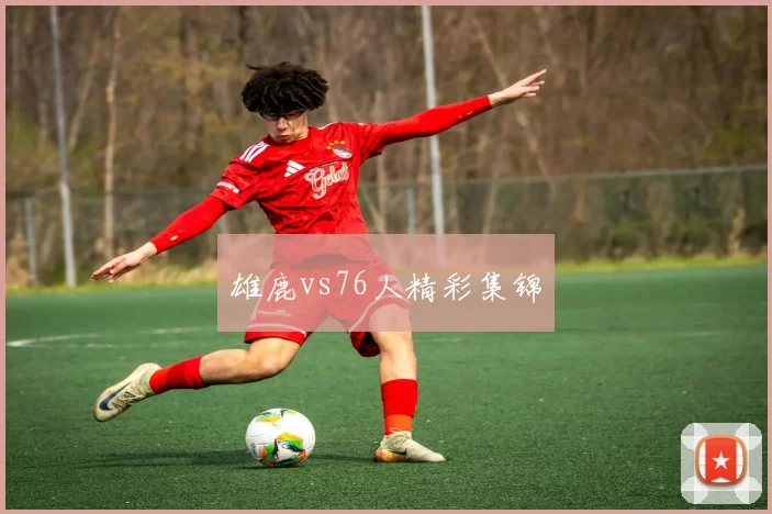 雄鹿vs76人精彩集锦