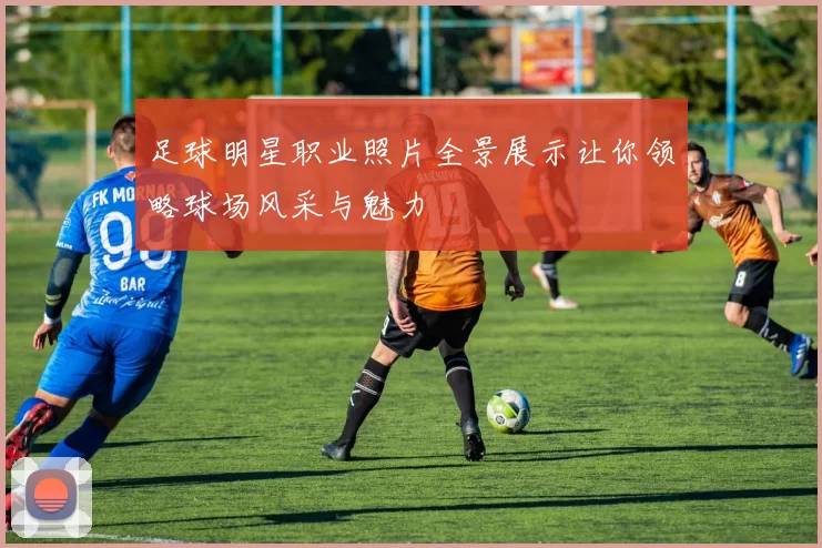 足球明星职业照片全景展示让你领略球场风采与魅力