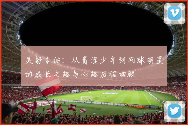 吴静专访：从青涩少年到网球明星的成长之路与心路历程回顾
