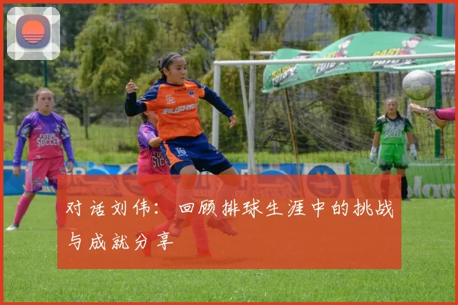 对话刘伟：回顾排球生涯中的挑战与成就分享