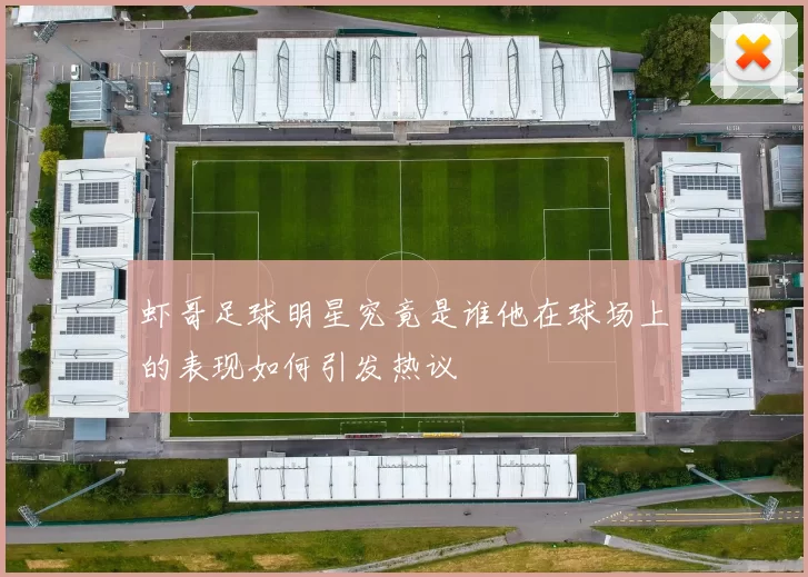 虾哥足球明星究竟是谁他在球场上的表现如何引发热议